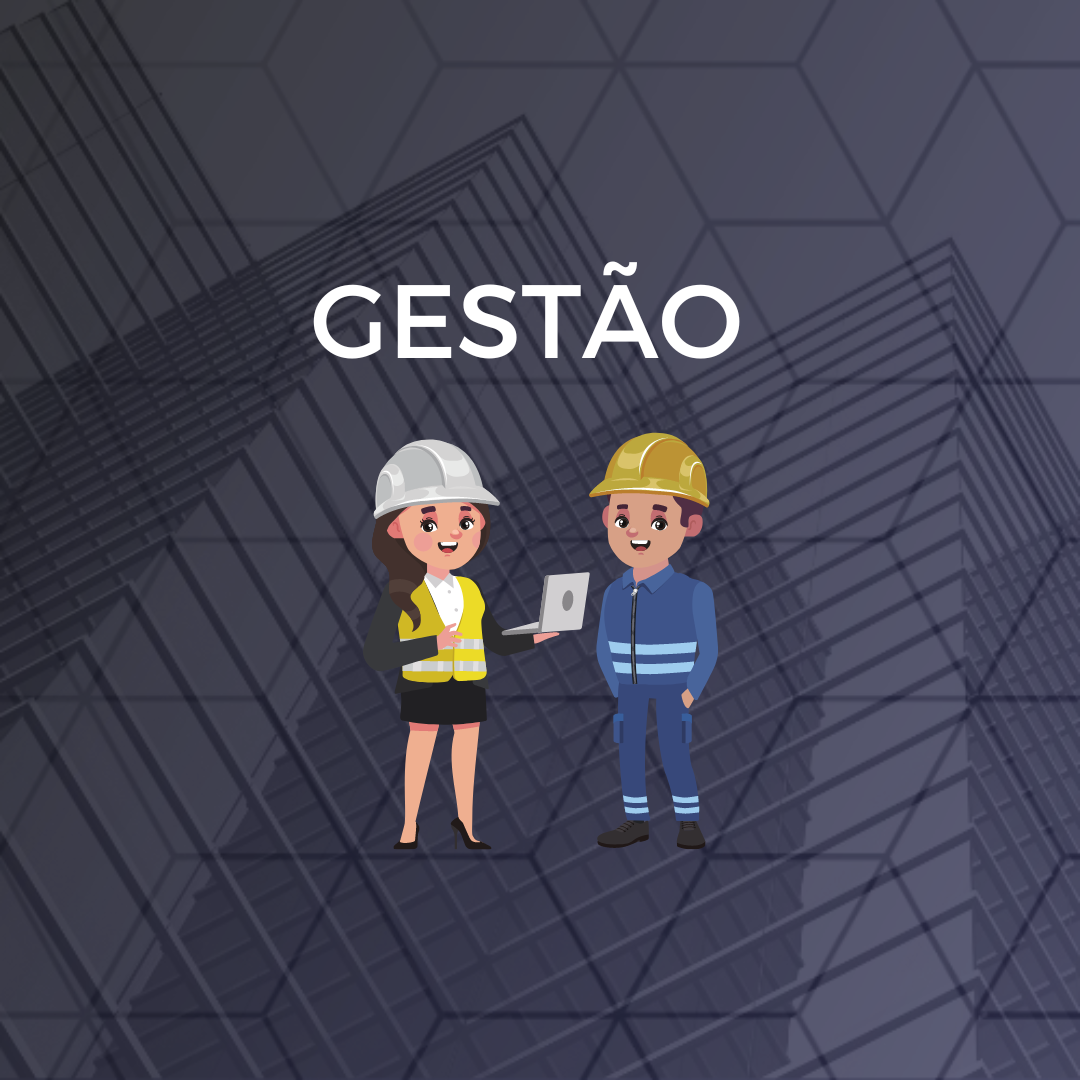 Gestão profissional